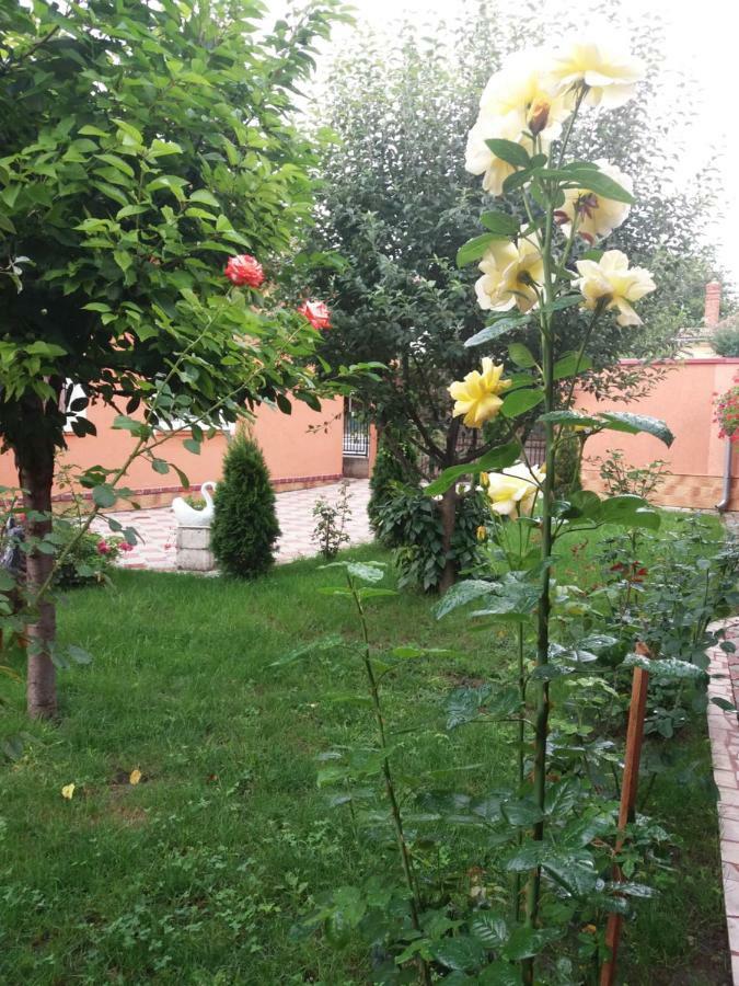 Olimpia Apartments Alba Iulia Exteriér fotografie