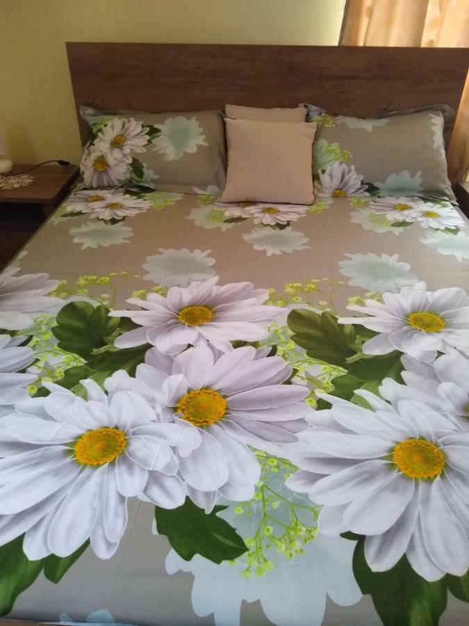 Olimpia Apartments Alba Iulia Exteriér fotografie